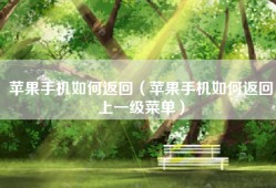 苹果手机如何返回（苹果手机如何返回上一级菜单）