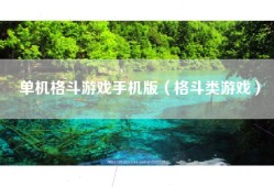 单机格斗游戏手机版（格斗类游戏）