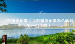 手机微信记录（手机微信记录怎么转到另一台手机）