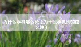 为什么手机那么烫（为什么手机烫的这么快）