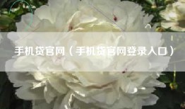 手机贷官网（手机贷官网登录入口）