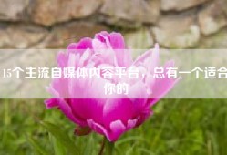 15个主流自媒体内容平台，总有一个适合你的