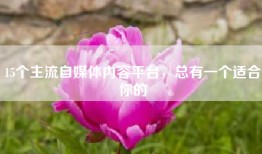 15个主流自媒体内容平台，总有一个适合你的