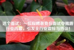 这个面试：一位应聘者竟在面试中揭露行业内幕，引发全行业震惊与热议！