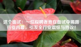 这个面试：一位应聘者竟在面试中揭露行业内幕，引发全行业震惊与热议！