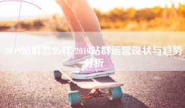 2019站群怎么样 2019站群运营现状与趋势分析