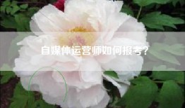 自媒体运营师如何报考？