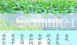 北京京A牌照可以自选吗？
