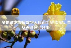 多地试水发放数字人民币工资 专家：普及关键在“好用”