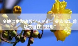 多地试水发放数字人民币工资 专家：普及关键在“好用”