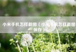 小米手机怎样截图（小米手机怎样截图保存）