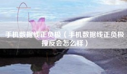 手机数据线正负极（手机数据线正负极接反会怎么样）