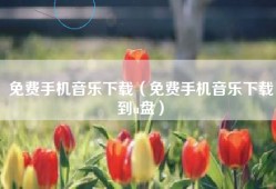 免费手机音乐下载（免费手机音乐下载到u盘）