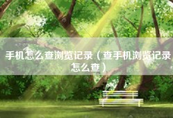 手机怎么查浏览记录（查手机浏览记录怎么查）