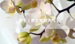 男士（男士推荐大气）