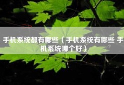 手机系统都有哪些（手机系统有哪些 手机系统哪个好）
