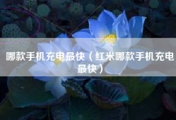哪款手机充电最快（红米哪款手机充电最快）