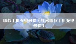 哪款手机充电最快（红米哪款手机充电最快）