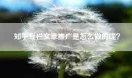 知乎专栏文章推广是怎么做的呢？