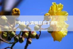 为什么清明总在下雨？