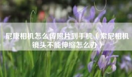 尼康相机怎么传照片到手机（索尼相机镜头不能伸缩怎么办）