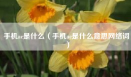 手机ac是什么（手机ac是什么意思网络词）