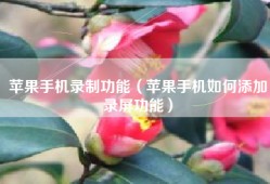 苹果手机录制功能（苹果手机如何添加录屏功能）