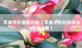 苹果手机录制功能（苹果手机如何添加录屏功能）