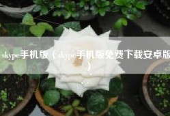 skype手机版（skype手机版免费下载安卓版）