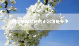 四项生命体征的正常值是多少