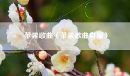 苹果歌曲（苹果歌曲自编）