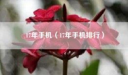 17年手机(17年手机排行)