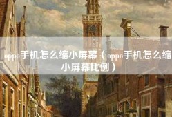 oppo手机怎么缩小屏幕（oppo手机怎么缩小屏幕比例）