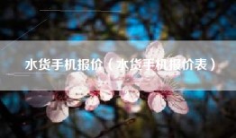 水货手机报价（水货手机报价表）