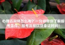 心理咨询师怎么考？一分钟带你了解报考条件、报考流程以及拿证时间！