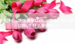 为什么ip地址通常以192.168开头？什么是公网ip？什么是内网ip？