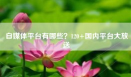 自媒体平台有哪些？120+国内平台大放送