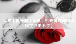 苹果手机亮屏（苹果手机亮屏时间自动锁定点击不了）