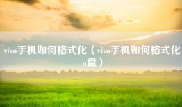 vivo手机如何格式化（vivo手机如何格式化u盘）