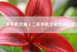 二手手机交易（二手手机交易市场价格）