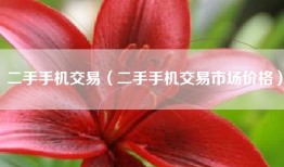 二手手机交易(二手手机交易市场价格)