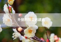 外贸的独立站建站