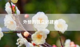 外贸的独立站建站
