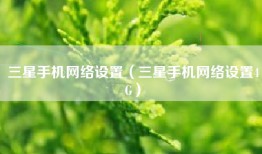 三星手机网络设置（三星手机网络设置4G）