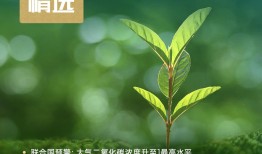 ESG Weekly