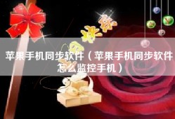 苹果手机同步软件（苹果手机同步软件怎么监控手机）