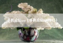 手机论坛app（手机论坛app排行）