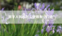 数字人民币怎么使用有“门道”