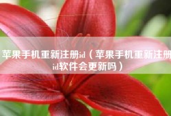 苹果手机重新注册id（苹果手机重新注册id软件会更新吗）