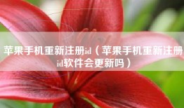 苹果手机重新注册id（苹果手机重新注册id软件会更新吗）